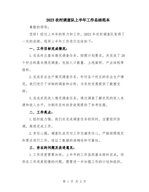 2023农村调查队上半年工作总结范本