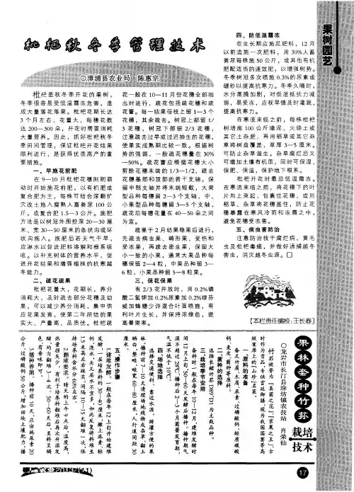 枇杷秋冬季管理技术