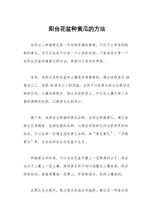 阳台花盆种黄瓜的方法