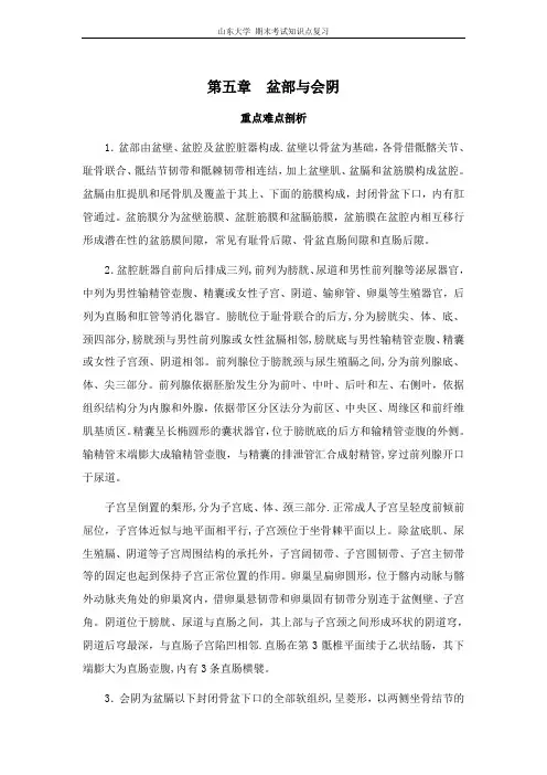 人体断面与影响解剖学[第五章盆部与会阴]山东大学期末考试知识点复习