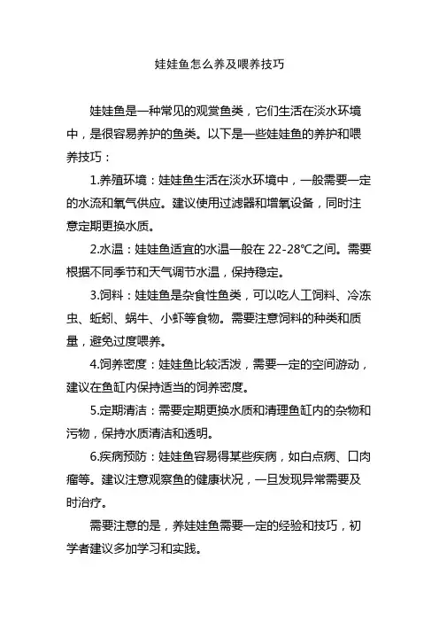 娃娃鱼怎么养及喂养技巧