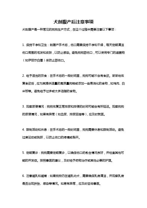 犬剖腹产后注意事项