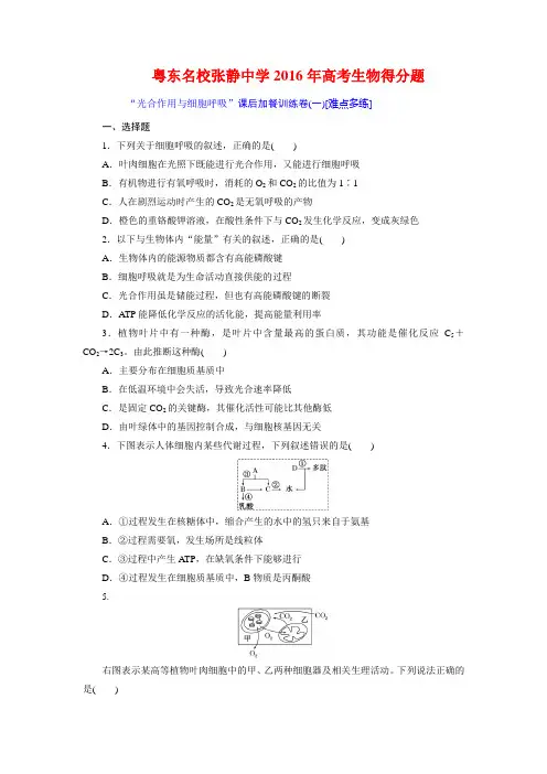 粤东名校张静中学2016年高考生物得分题