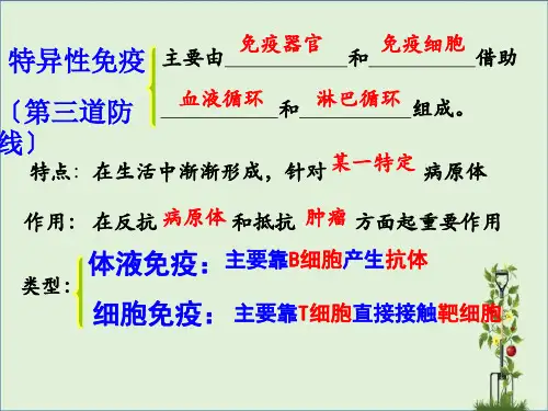 人体的第三道防线：体液免疫和细胞免疫的过程