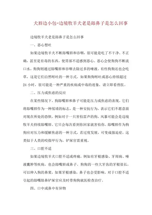 犬唇边小包-边境牧羊犬老是舔鼻子是怎么回事