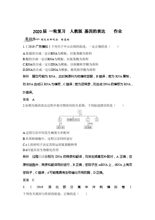 2020年高考 一轮复习  人教版 基因的表达    作业.doc