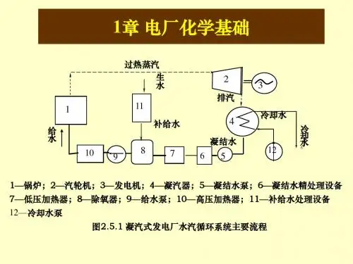 电厂化学