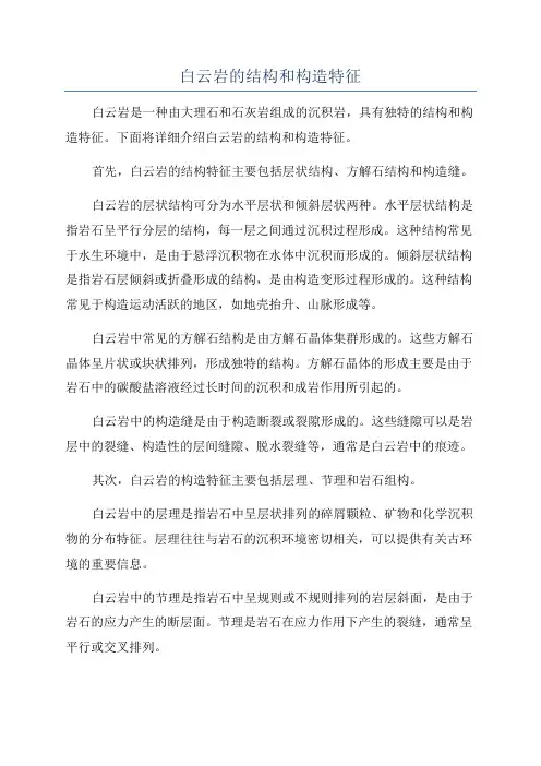 白云岩的结构和构造特征