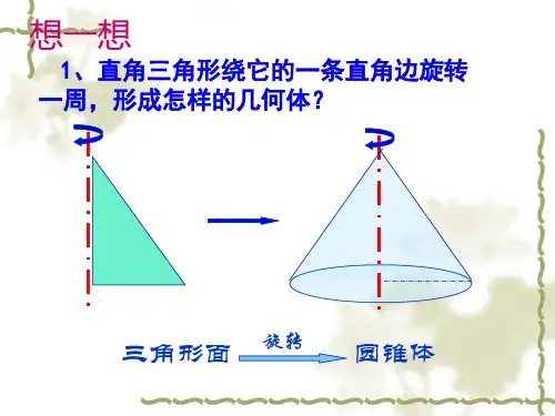 苏科版七年级上册数学  5.2图形的运动课件