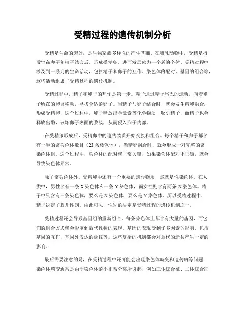 受精过程的遗传机制分析