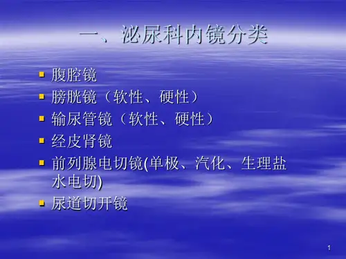 泌尿科内镜基础