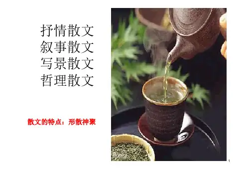 《荷塘月色》公开课优秀ppt课件