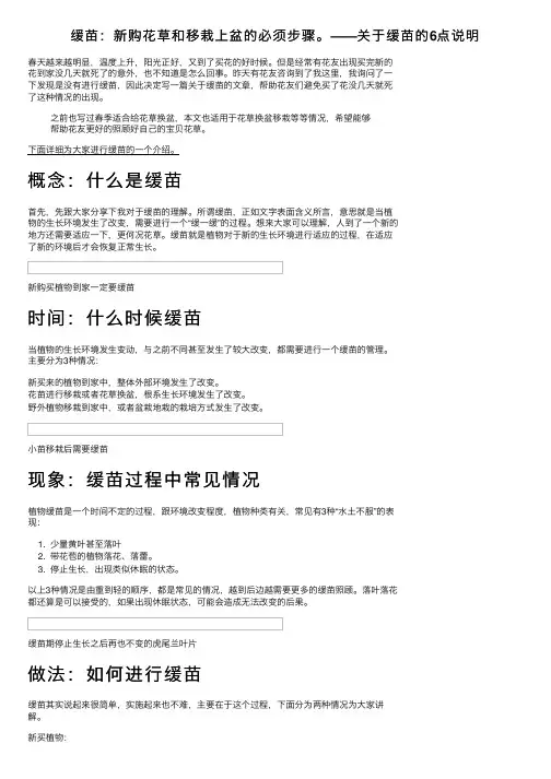 缓苗：新购花草和移栽上盆的必须步骤。——关于缓苗的6点说明