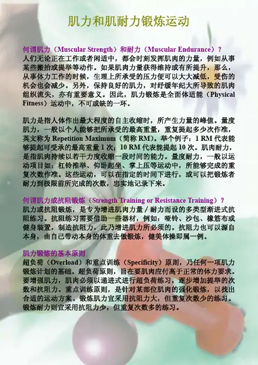 肌力和肌耐力锻炼运动