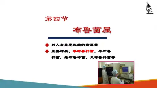 临床常见病原菌检验—苛养性细菌(微生物检验课件)