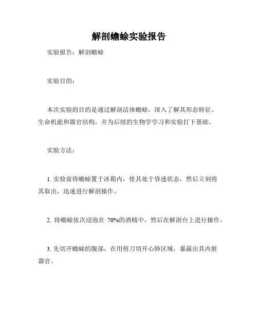 解剖蟾蜍实验报告