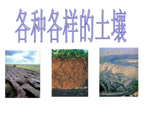 各种各样的土壤[下学期]PPT课件(初中科学)
