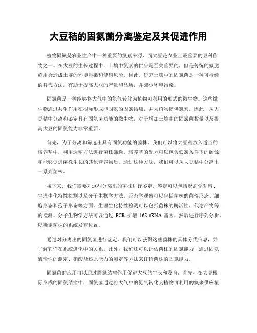 大豆秸的固氮菌分离鉴定及其促进作用