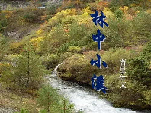 《林中小溪》PPT课件 (共17张PPT)