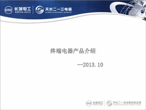 终端电器知识培训-2(10.14)