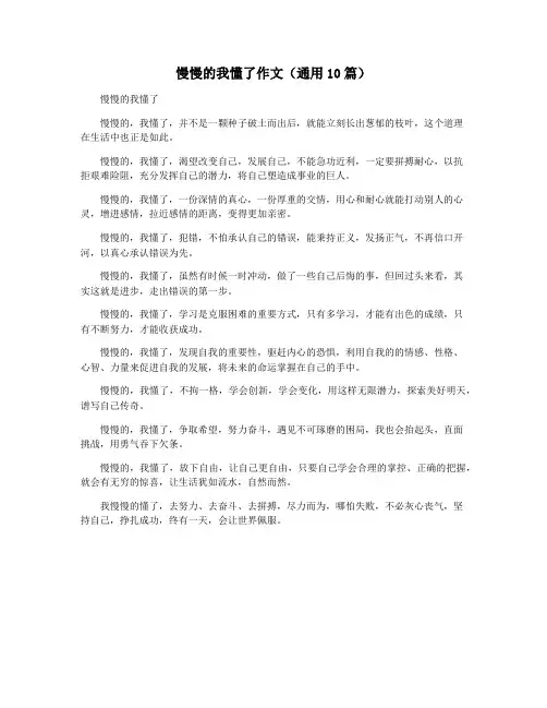 慢慢的我懂了作文(通用10篇)
