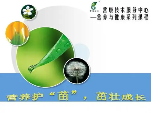 不要让孩子输在起跑线上.ppt 精品
