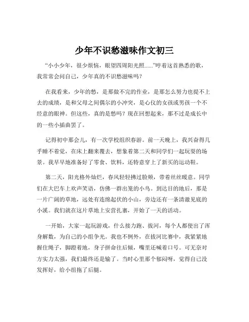 少年不识愁滋味作文初三