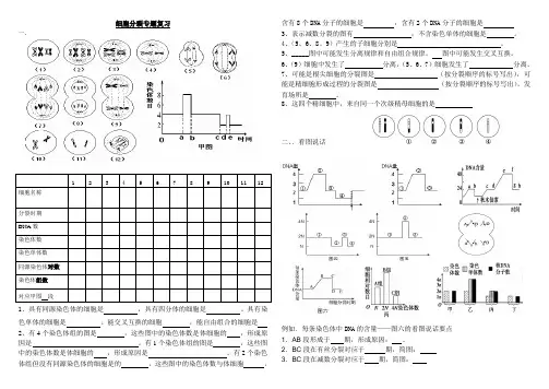 (完整版)高三生物细胞分裂专题复习