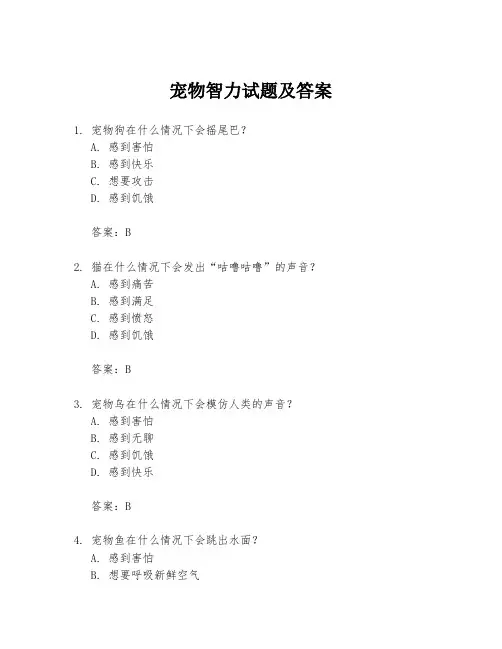 宠物智力试题及答案