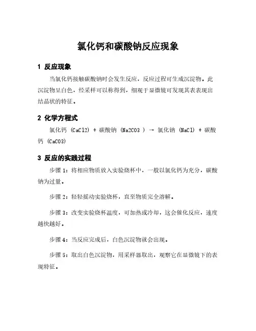 氯化钙和碳酸钠反应现象