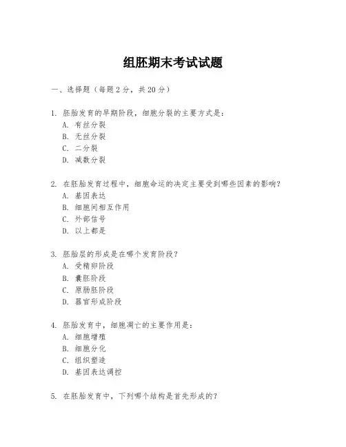 组胚期末考试试题