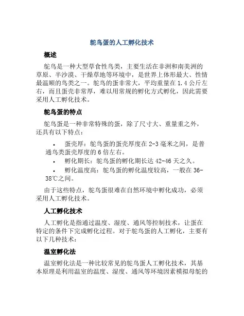 鸵鸟蛋的人工孵化技术