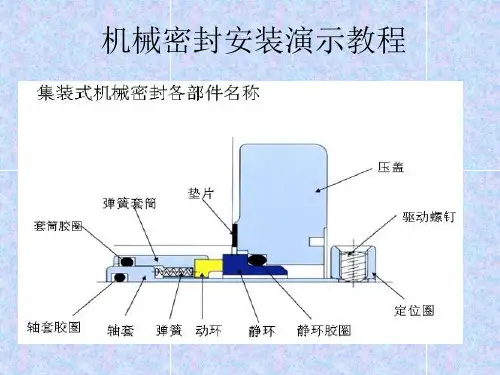 机械密封安装演示
