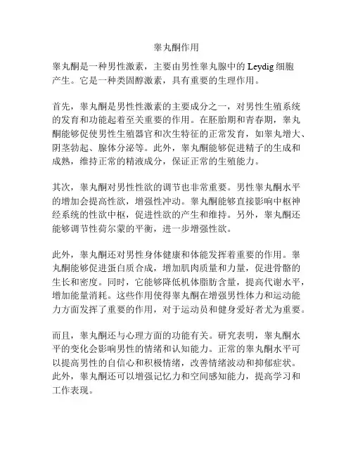 睾丸酮作用