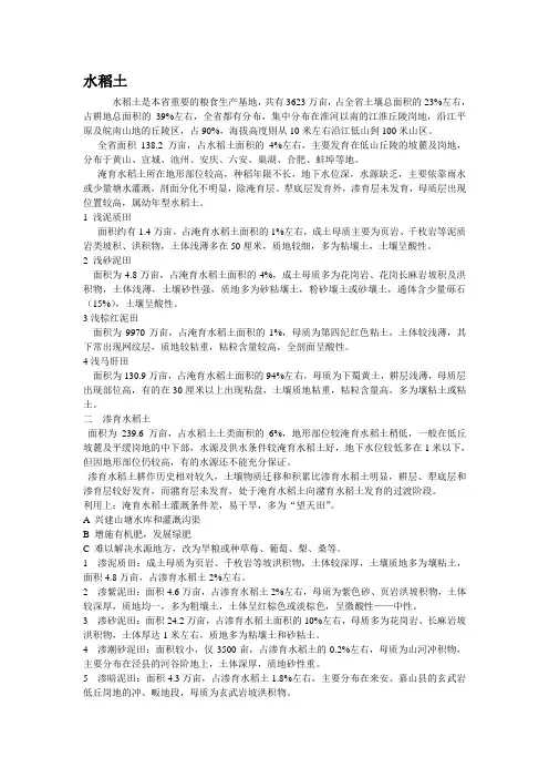 水稻土