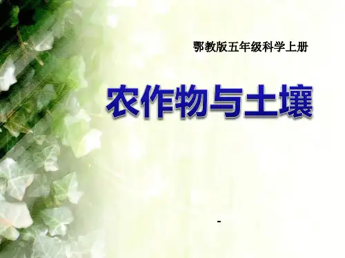 202X鄂教版科学五年级上册第20课《农作物与土壤》ppt课件