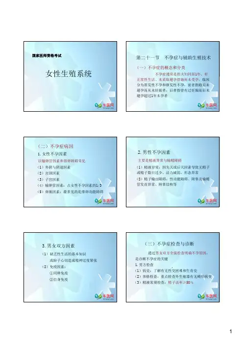 女性生殖系统