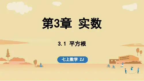 2024年浙教版七年级数学上册 3.1 平方根 (课件)