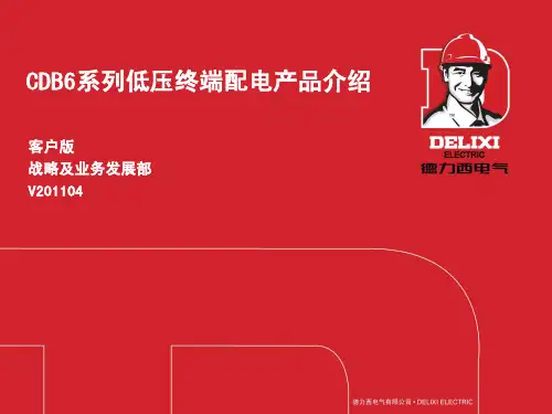 德力西新产品CDB6-产品简介