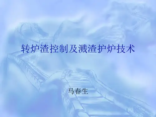 转炉渣控制及溅渣护炉技术