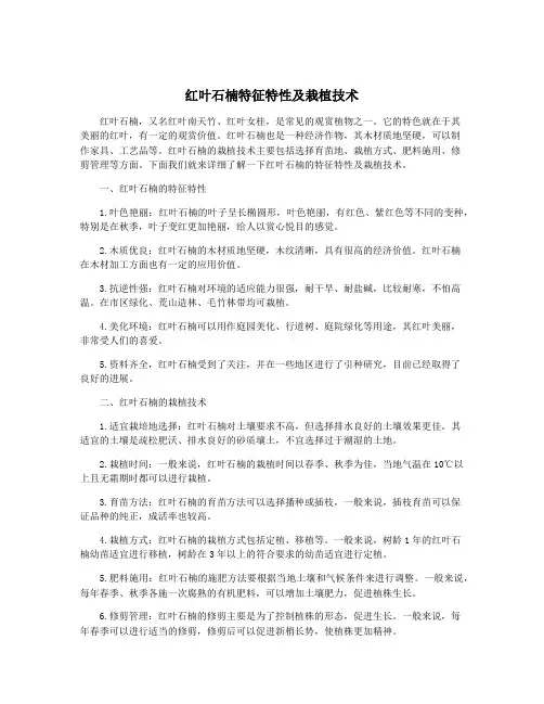 红叶石楠特征特性及栽植技术