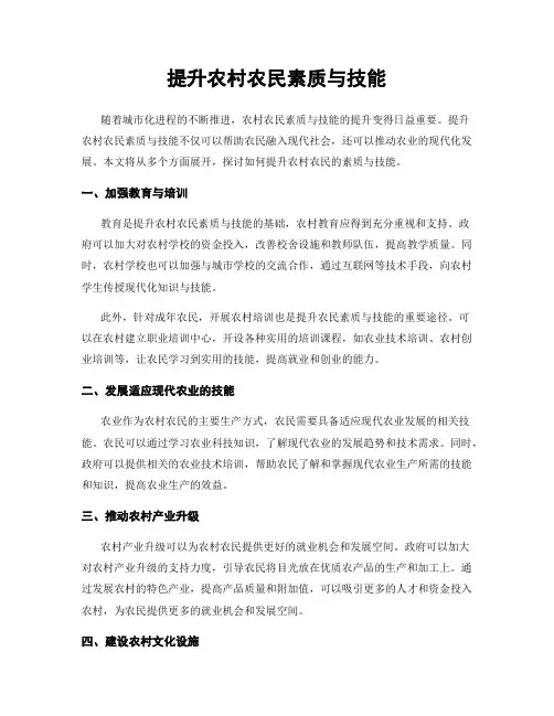 提升农村农民素质与技能