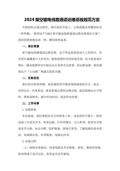 2024架空输电线路通道运维巡视规范方案