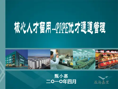 PIPE优才通道管理教材