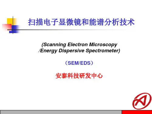 扫描电子显微镜SEM和能谱分析技术EDS