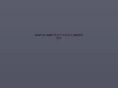 2010经典-2008年青岛中央商务区-CBD调研报告.ppt