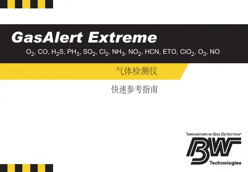 GAXT单一气体检测仪中文说明书