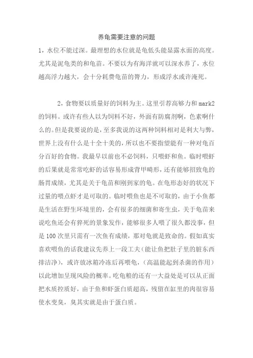 养龟需要注意什么