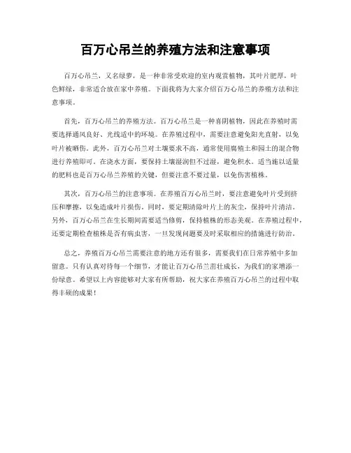 百万心吊兰的养殖方法和注意事项