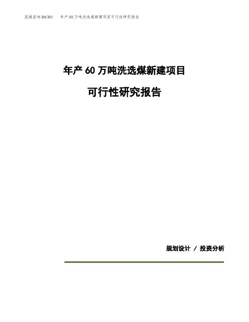 年产60万吨洗选煤新建项目可行性研究报告